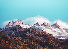 九游体育app官方下载-国安亚冠大名单：费尔南多、阿兰在列 巴坎布缺席